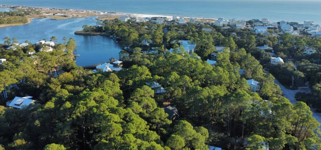 An aerial view of beautiful, and pet friendly, Grayton Beach